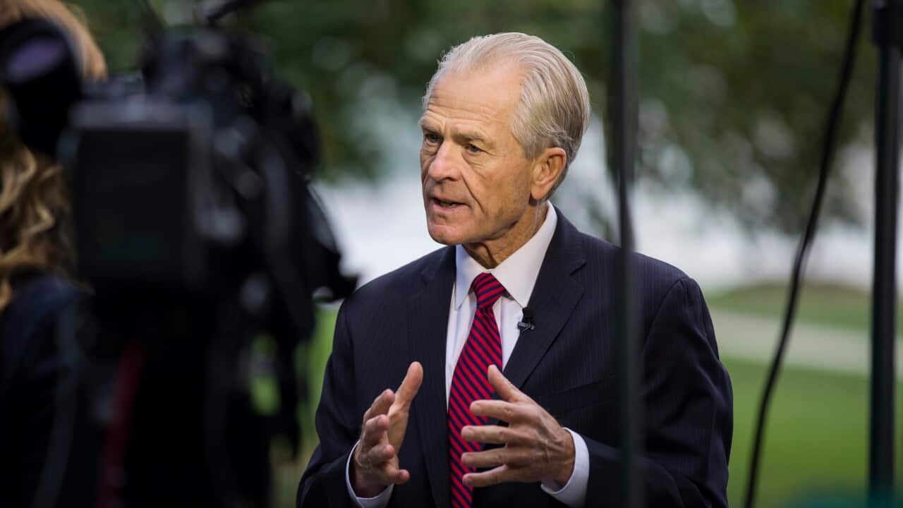 White House trade adviser Peter Navarro