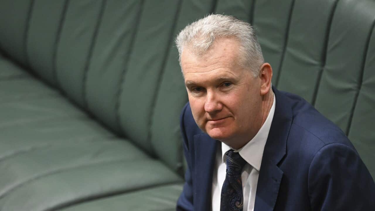 TONY BURKE FAMILY VIOLENCE LEAVE BILL