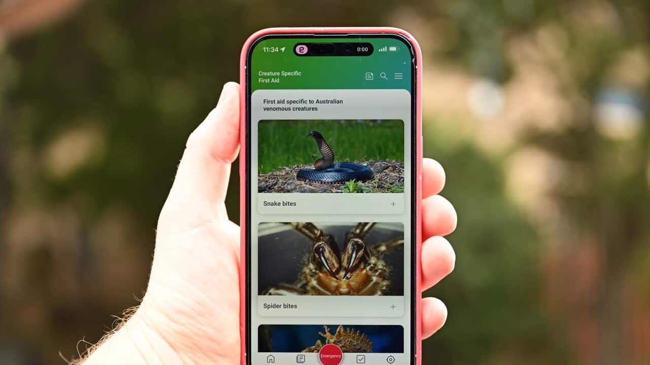 Image for read more article ''