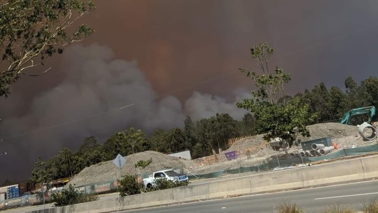 Un'immagine degli incendi nell'Illawarra
