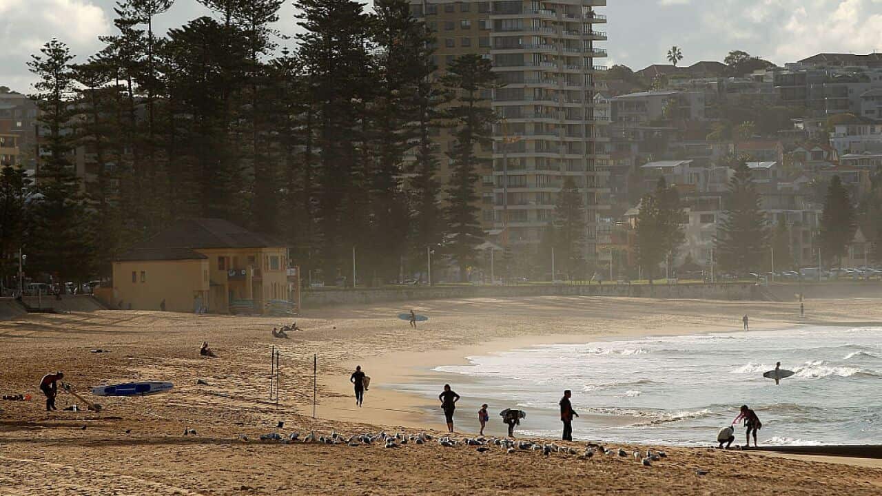 A general view of Manly Beach, which would be at threat of a tsunami.