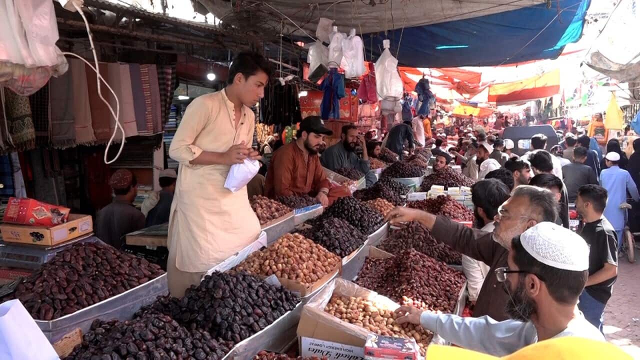 WhatsApp Image 2026-02-18 at 08.23.03.jpeg