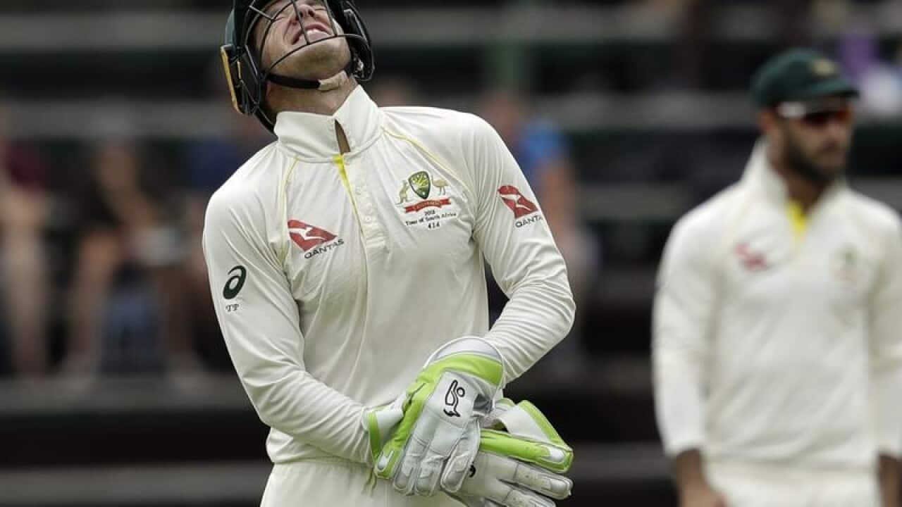 Tim Paine reacts after being hit on his thumb