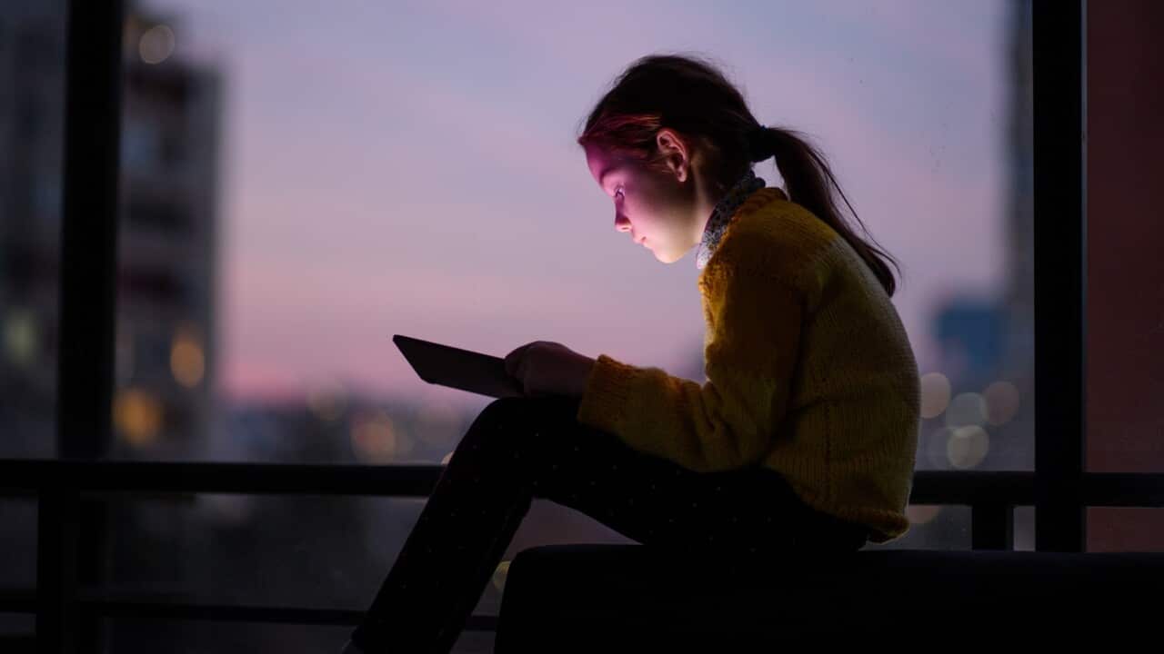 Concerns are raised about children and social media