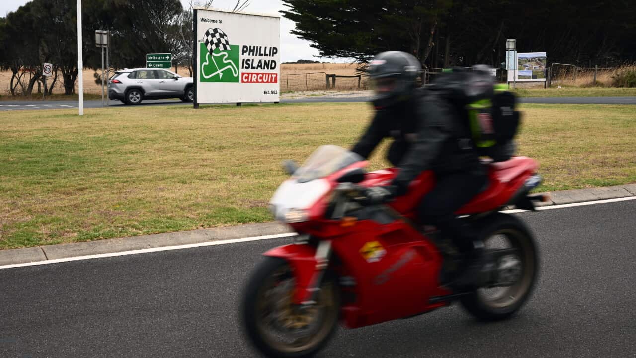 PHILLIP ISLAND STOCK