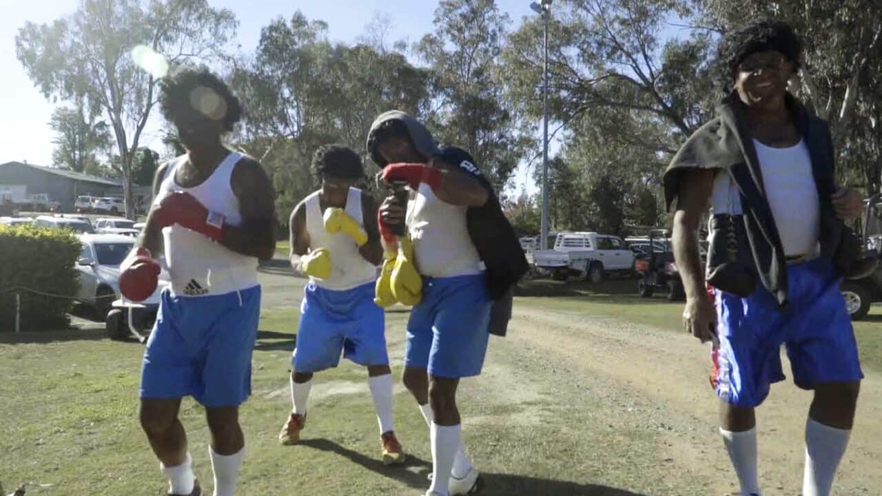 Rabbit Hop films/Vimeo.