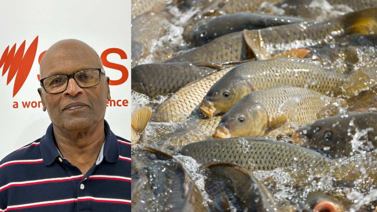 Sathyanathan segment.jpg