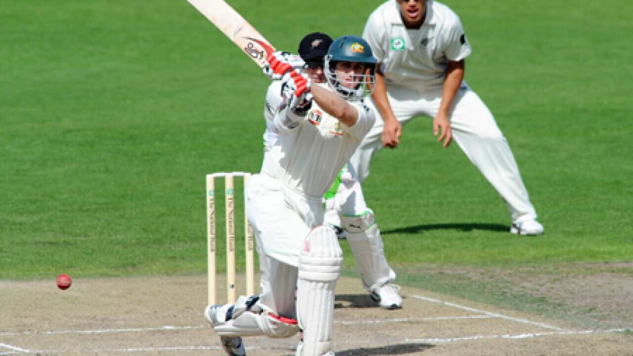 cricket_katich_nz_100330_B_ap_312835986