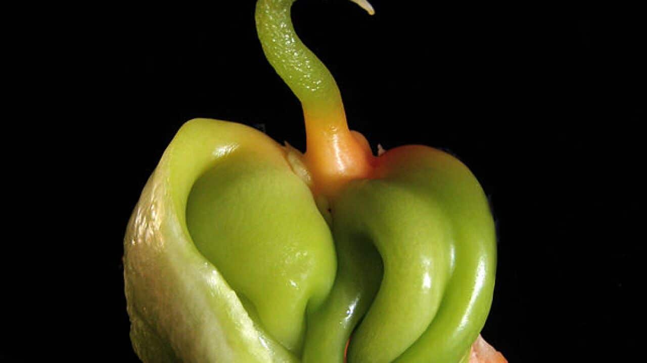 Image for read more article '閲讀更多'