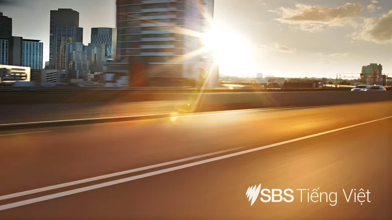 Thumbnail 16x9 SBS Audio (7).png