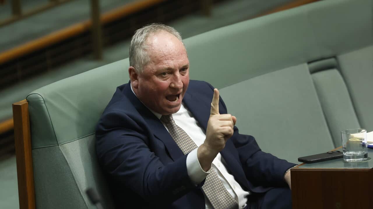 Il senatore di One Nation Barnaby Joyce.