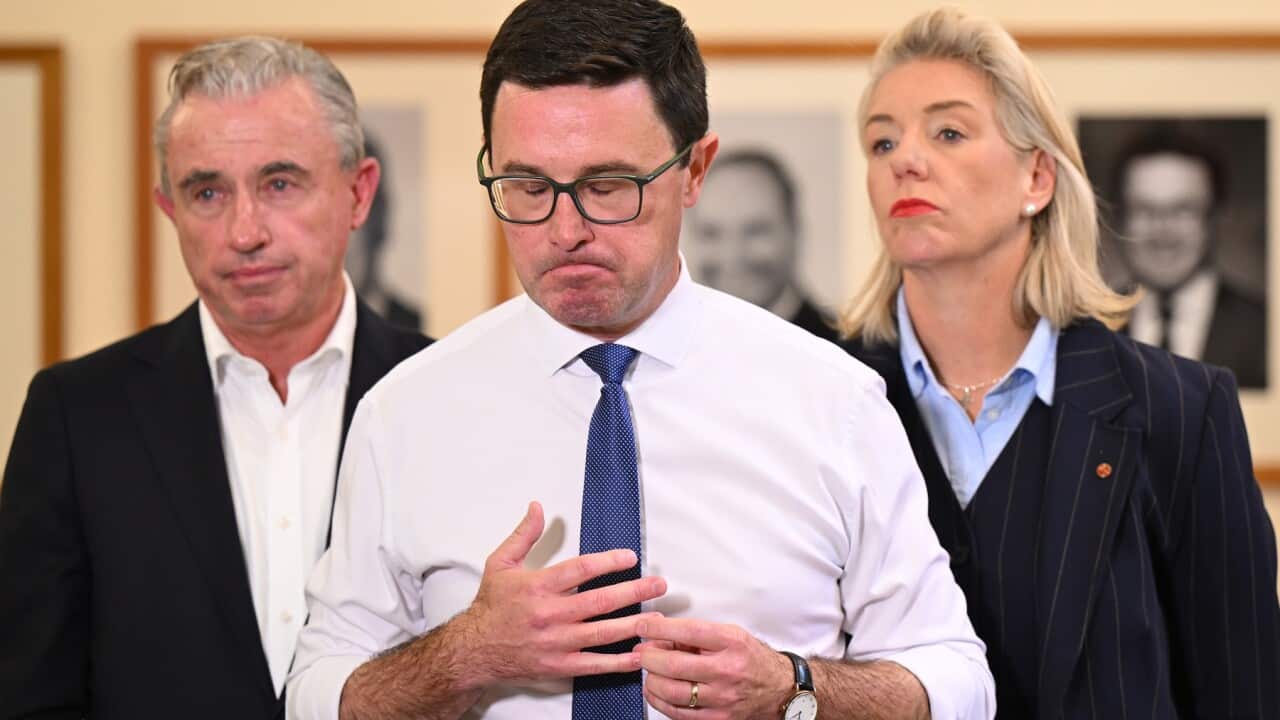 DAVID LITTLEPROUD COALITION AGREEMENT PRESSER