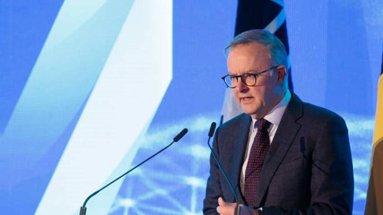 PM Anthony Albanese .jpg