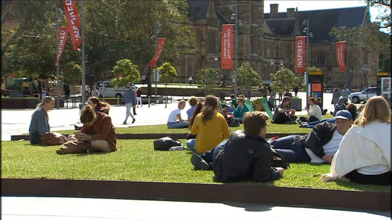 Students at the University of Sydney before the pandemic hit