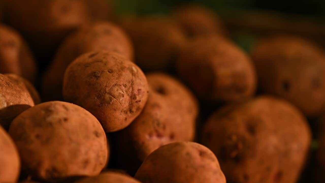 QUEEN VICTORIA MARKET STOCK