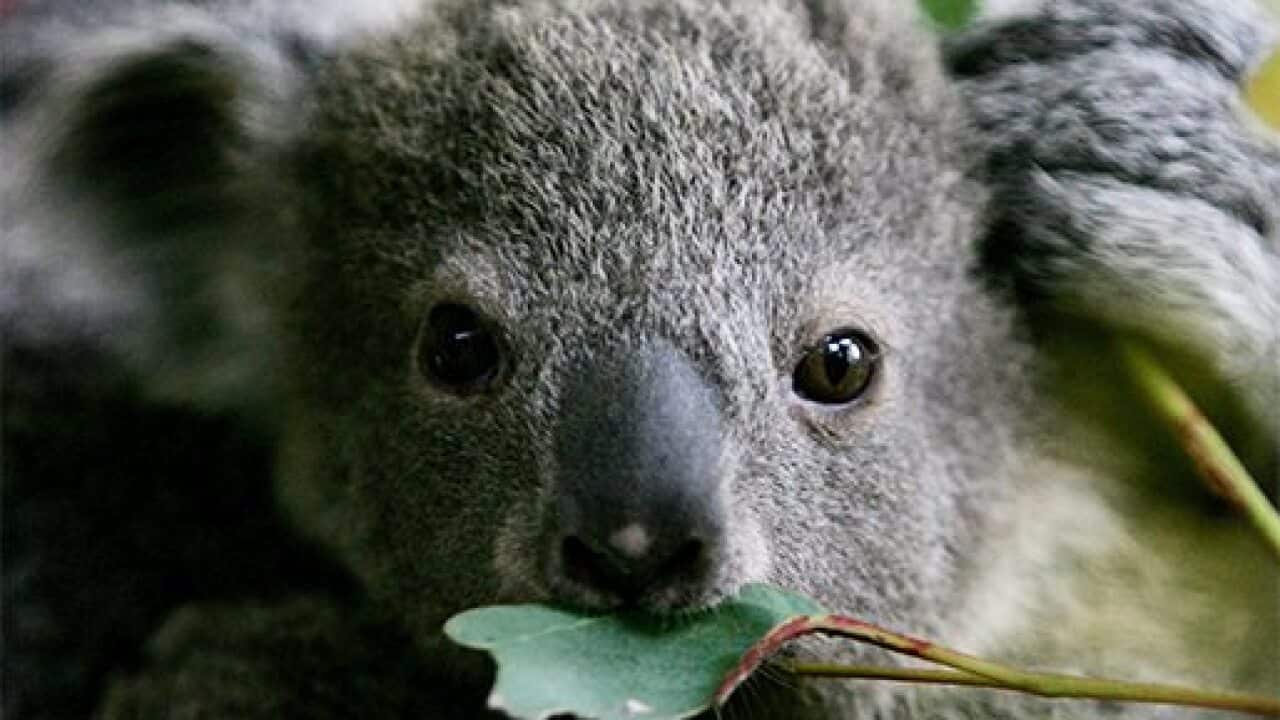 Image for read more article ''