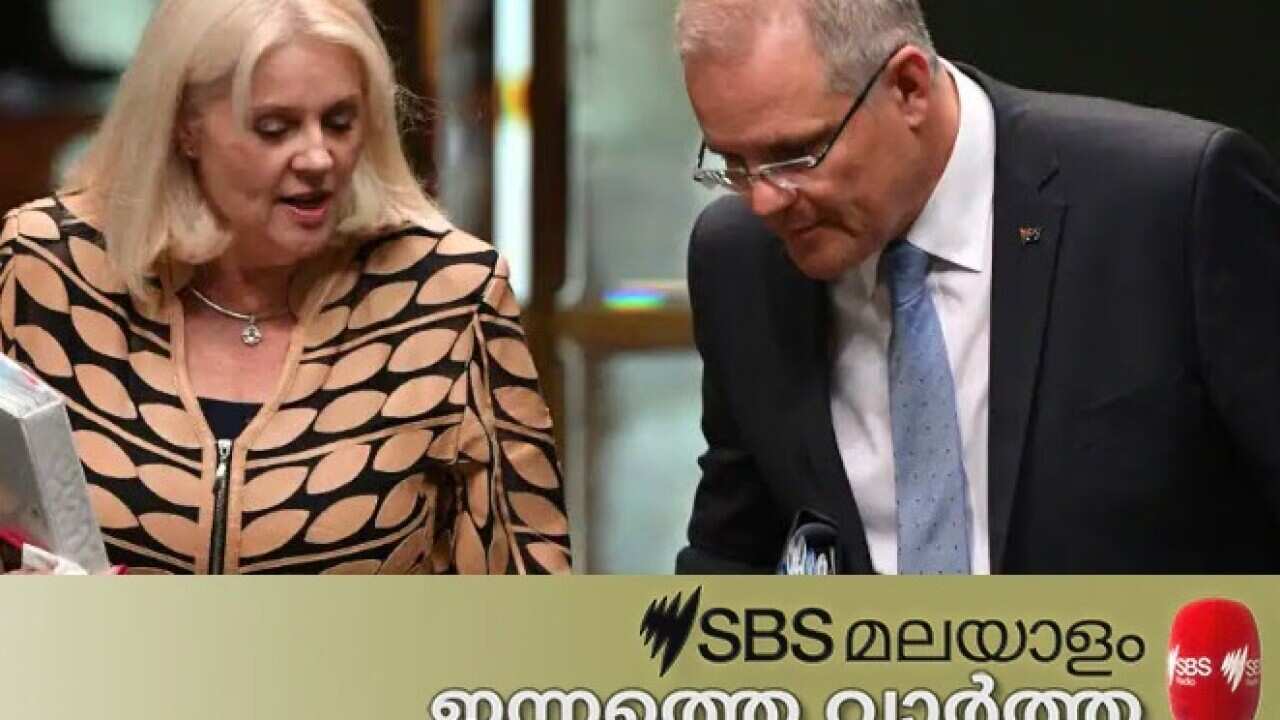 Former home affairs minister Karen Andrews has called on Scott Morrison to resign from parliament following revelations about his handling of portfolios
