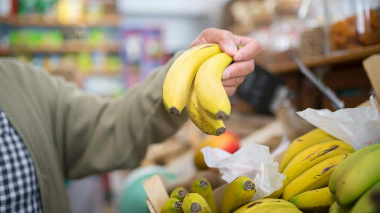 Data from MyFitnessPal marks World Banana Day by crowning the fruit as Australia’s most-logged snack, beating out the popular avocado.