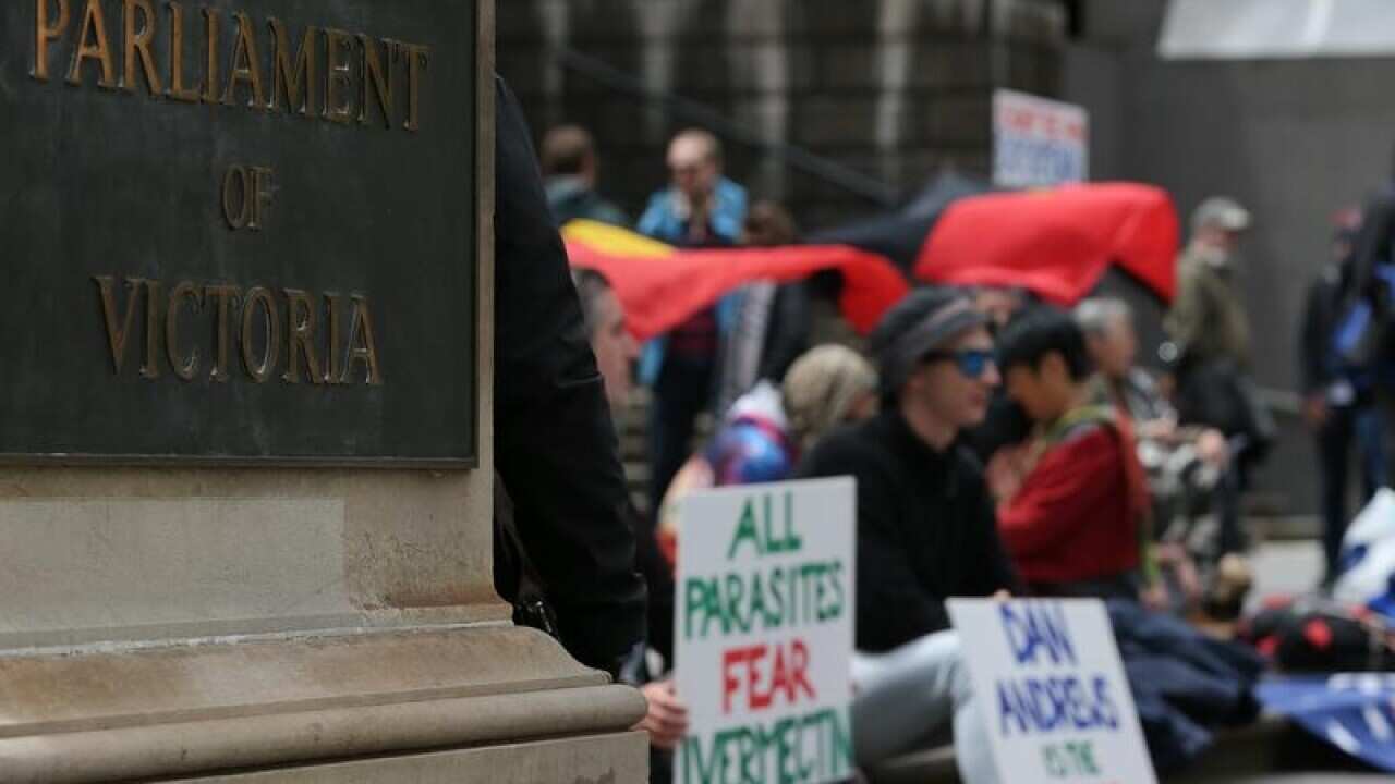 Protestors are seen during a demonstration outside the Victorian State Parliament in Melbourne.