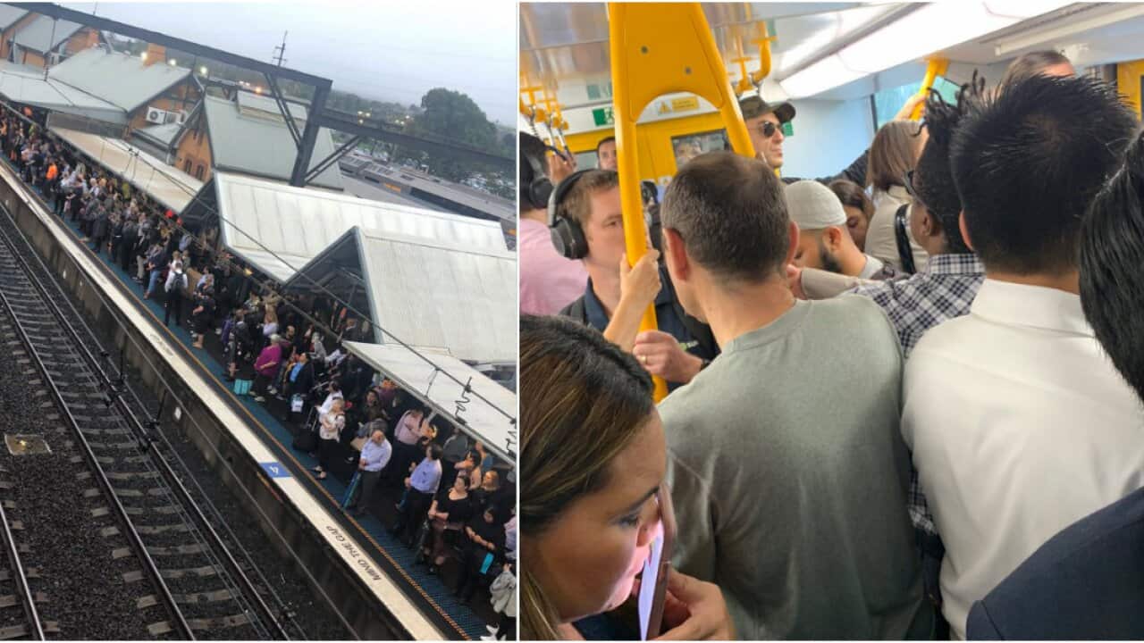 Dozens of Sydney train services were delayed or cancelled