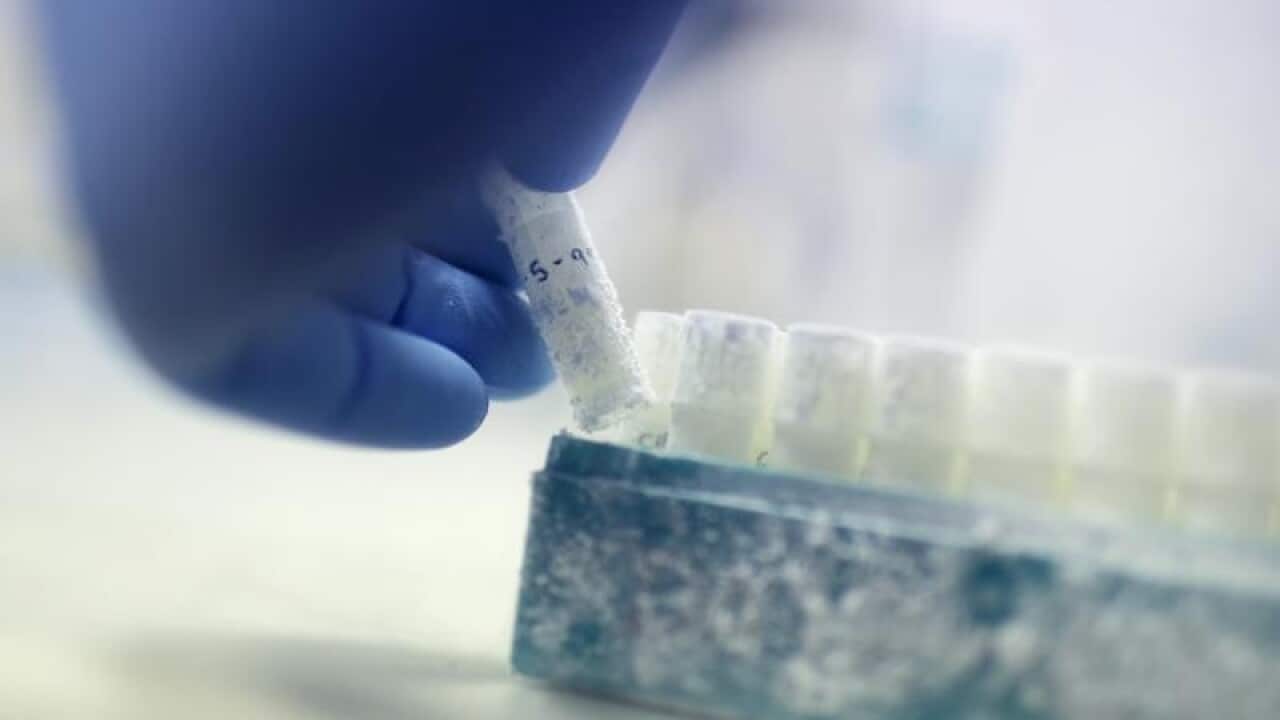 A vial containing frozen donor sperm samples