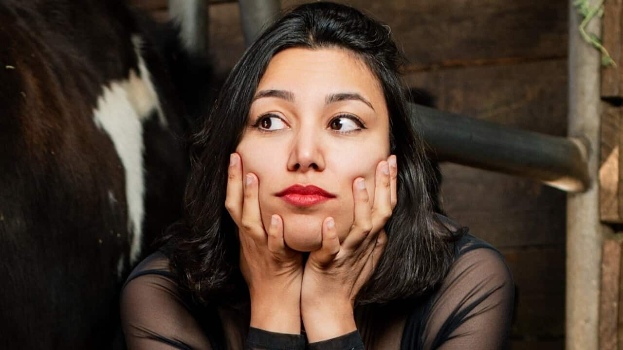 thumbnail_cow2.jpg