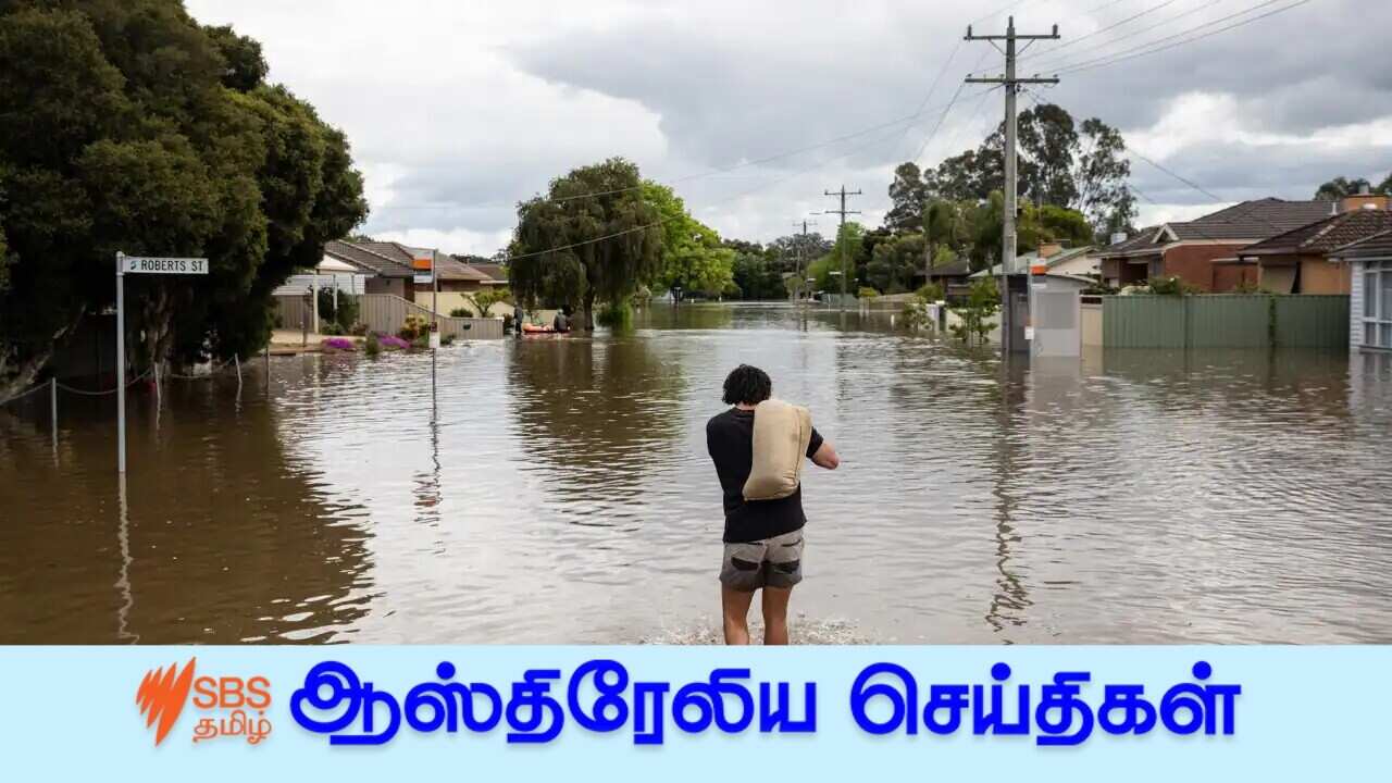 Flood