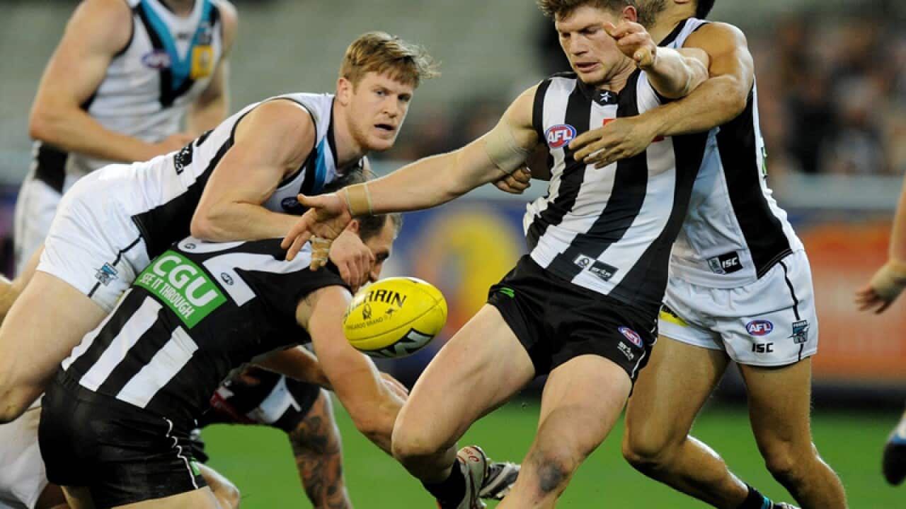 Taylor Adams of Collingwood