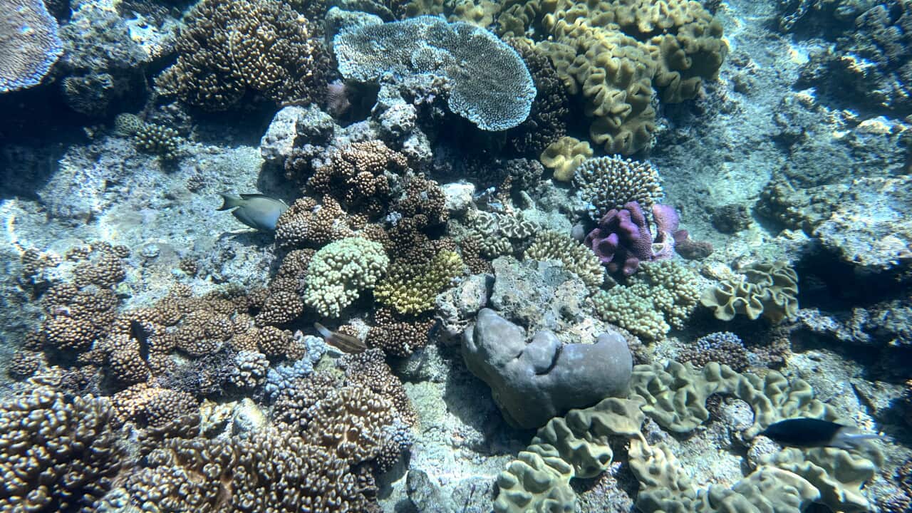 QUEENSLAND CAIRNS