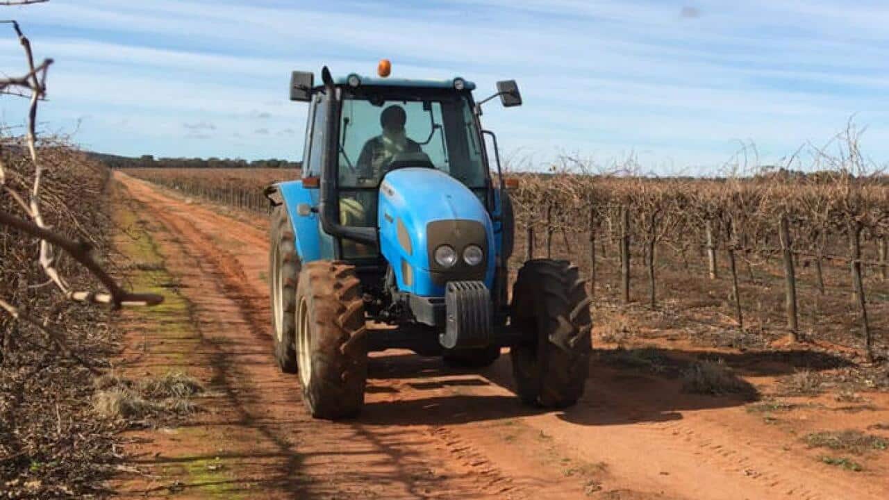 Australia may open 'Work and Holiday' visa for Indians