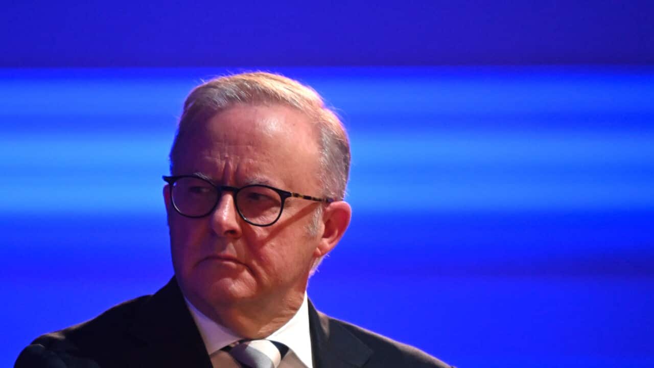 ANTHONY ALBANESE UK VISIT