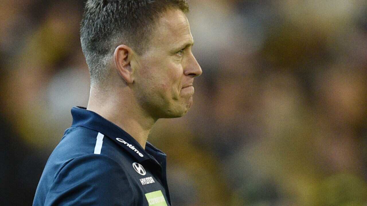 Carlton Blues coach Brendon Bolton