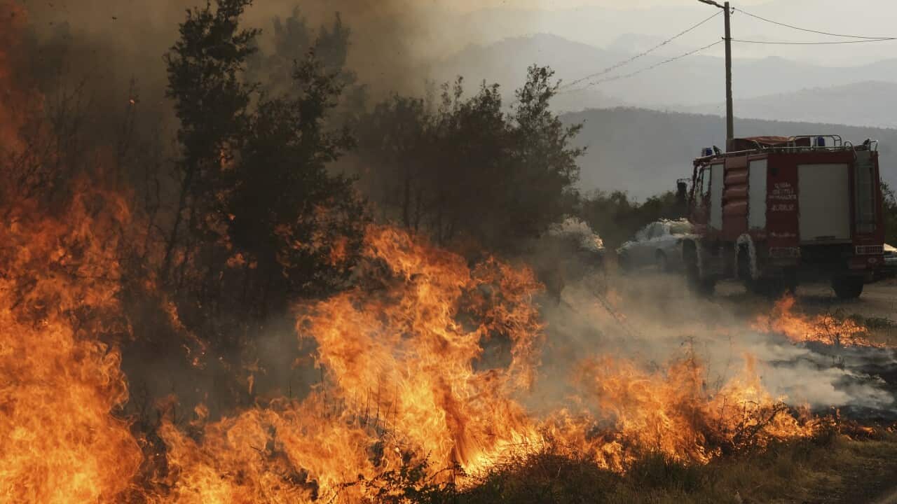 Montenegro Wildfires