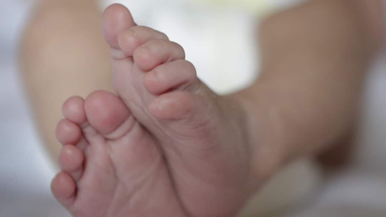 Baby stock
