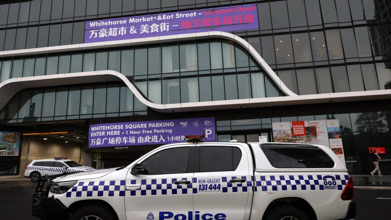 SHOOTING BOX HILL MELBOURNE