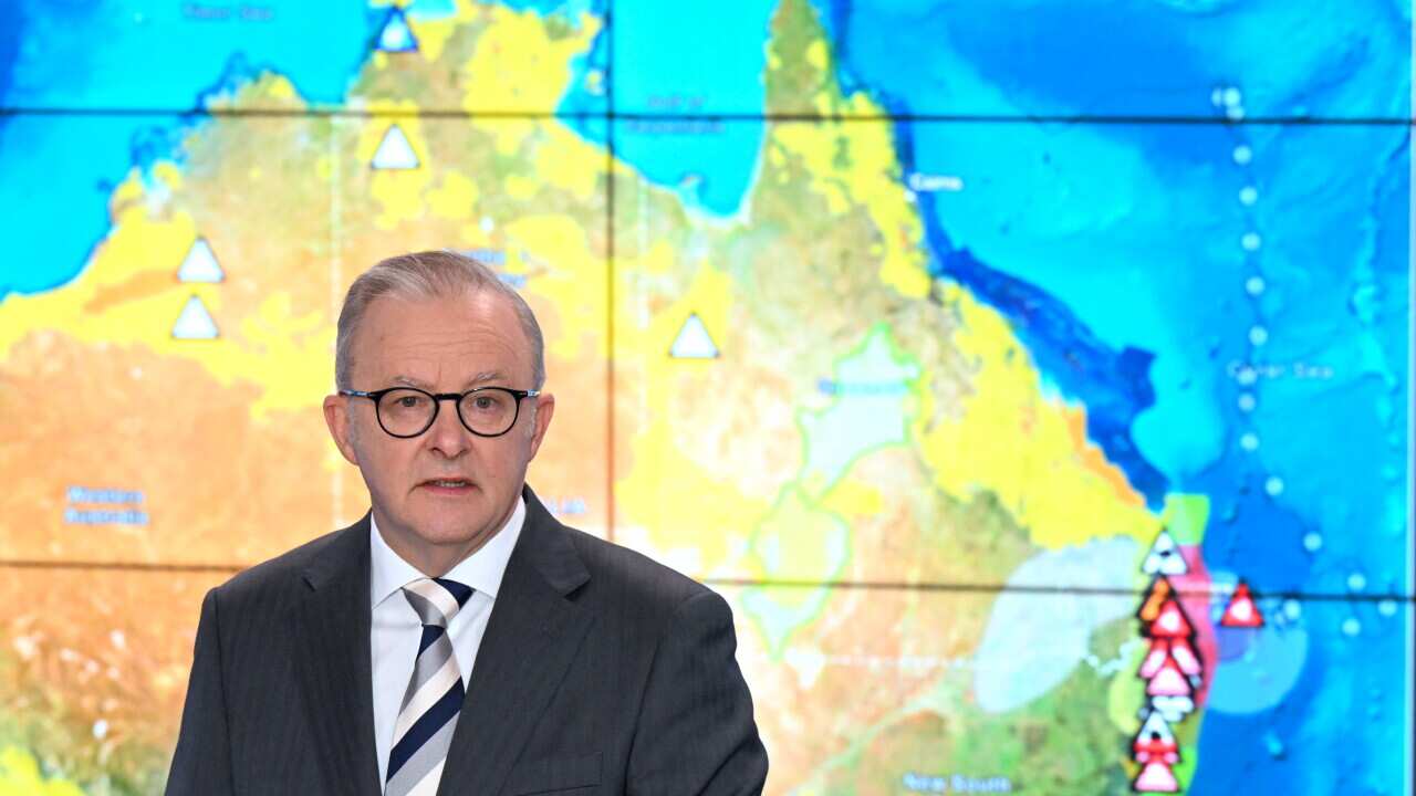 ANTHONY ALBANESE CYCLONE ALFRED PRESSER