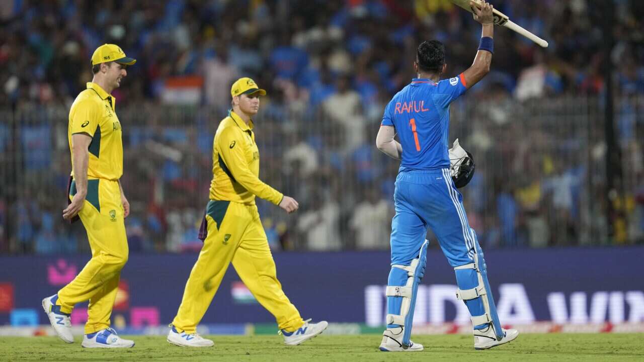 India Cricket WCup