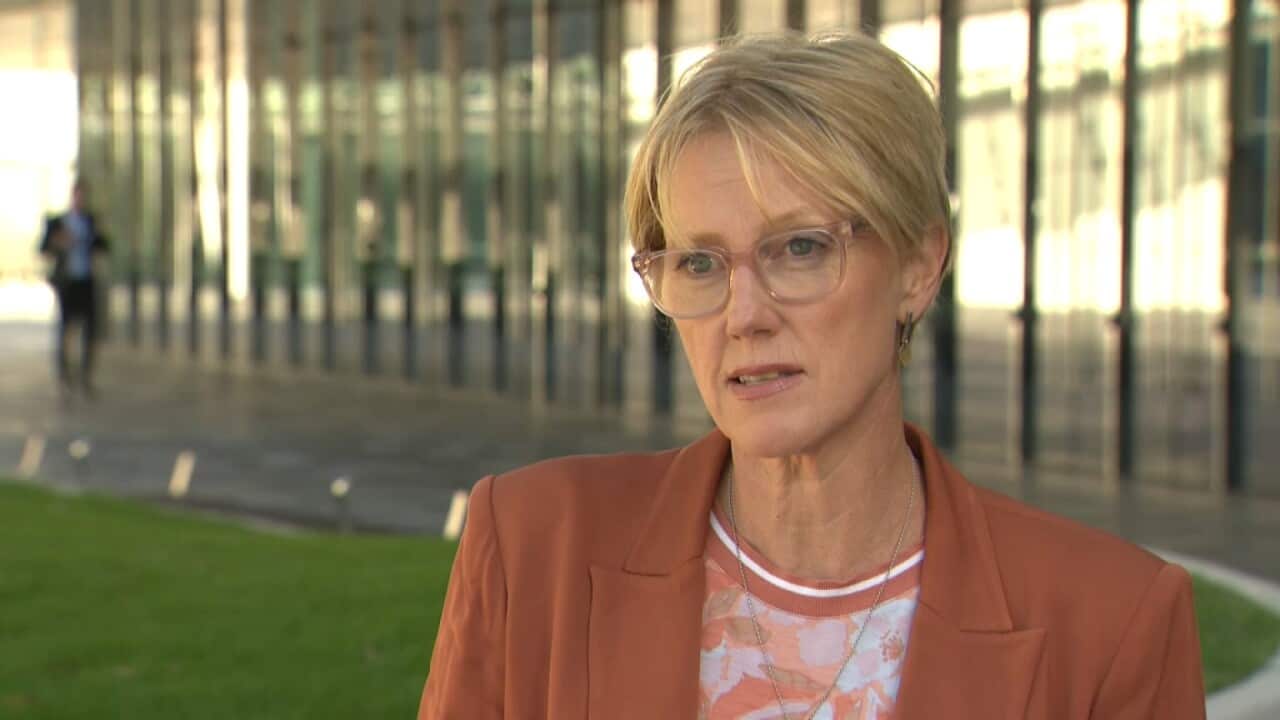 Independent MP Zoe Daniel (SBS).jpg