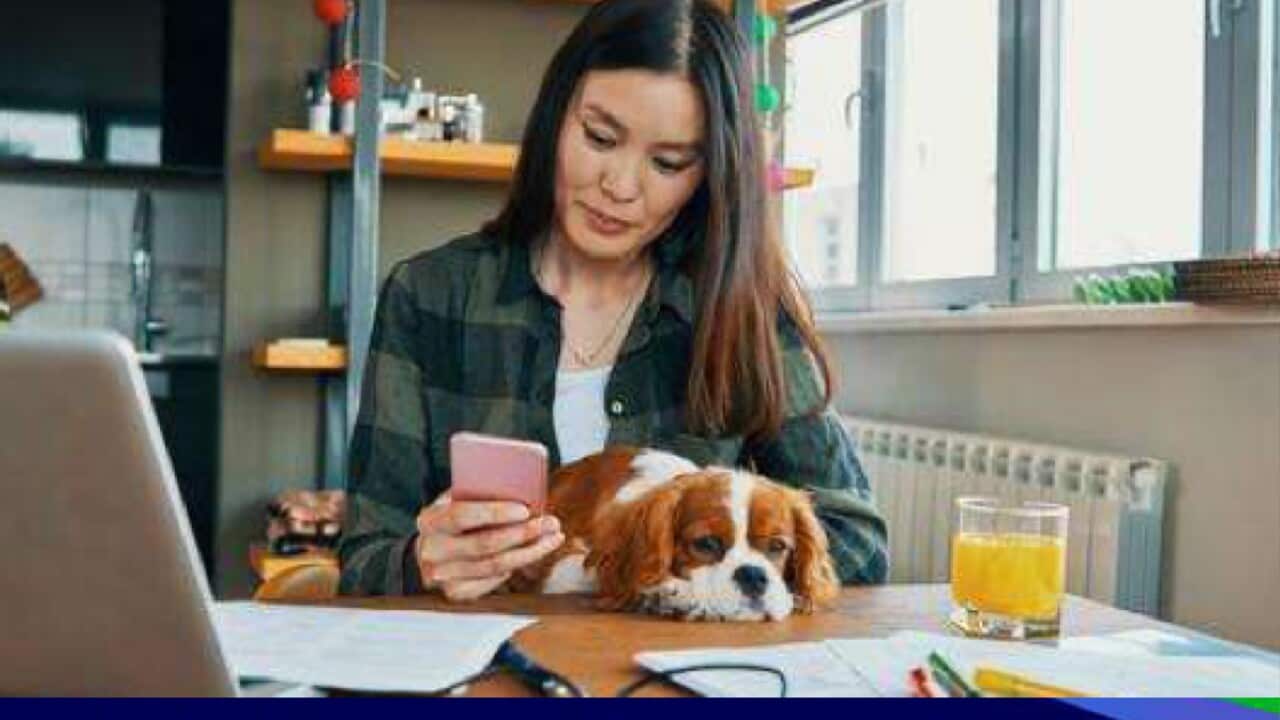 JobKeeper payment, coronavirus, ATO,