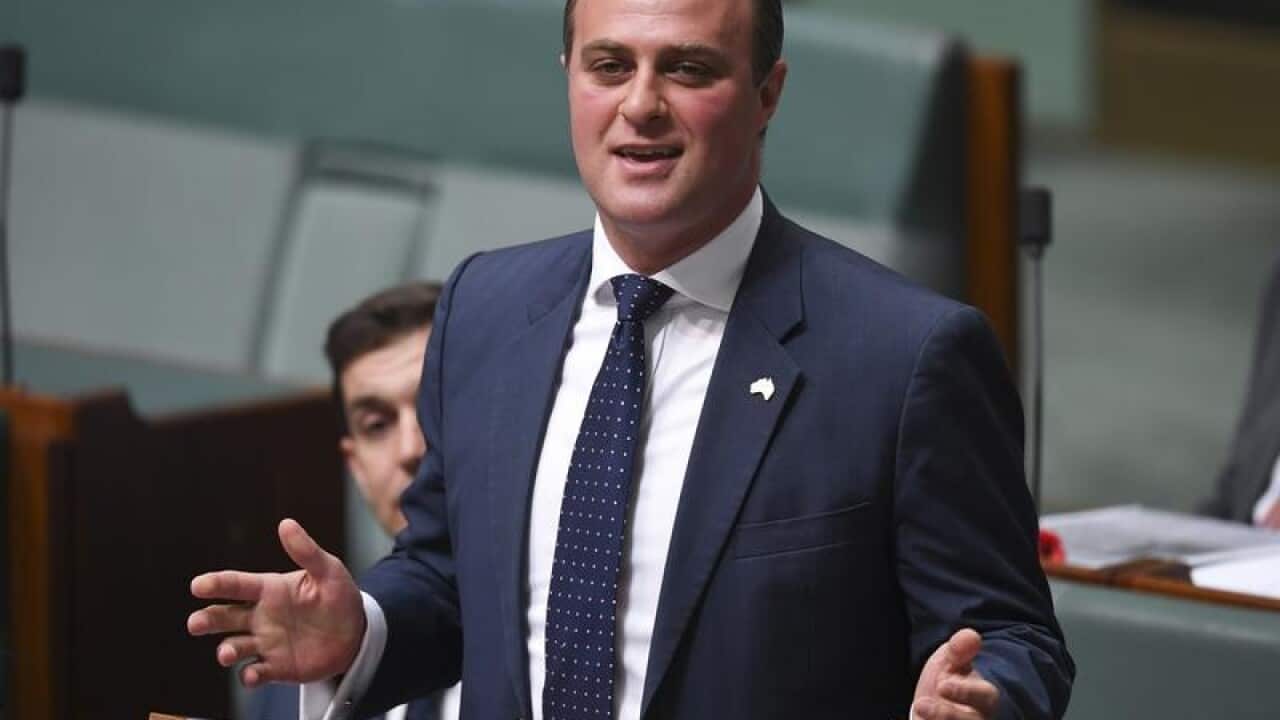 Liberal MP Tim Wilson