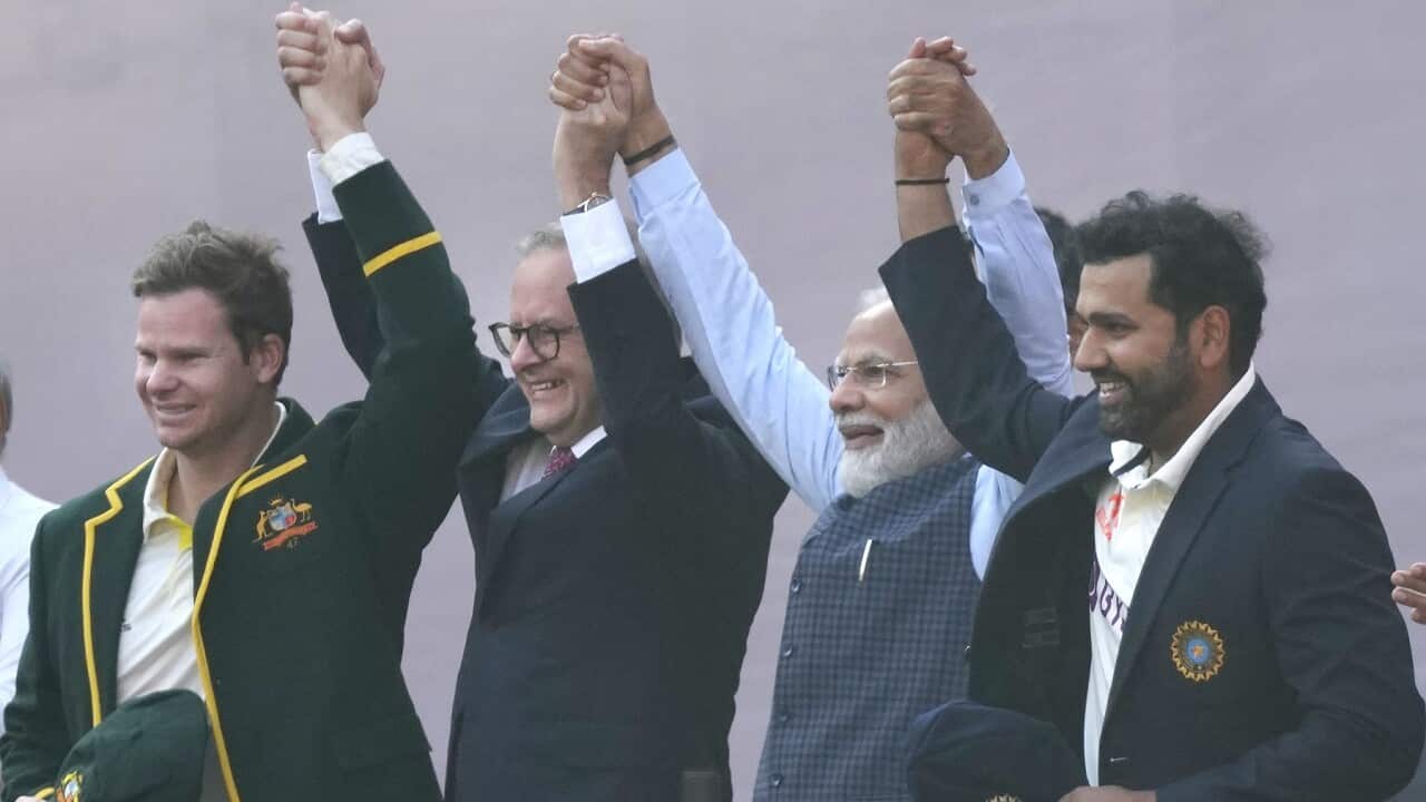 India Australia Cricket