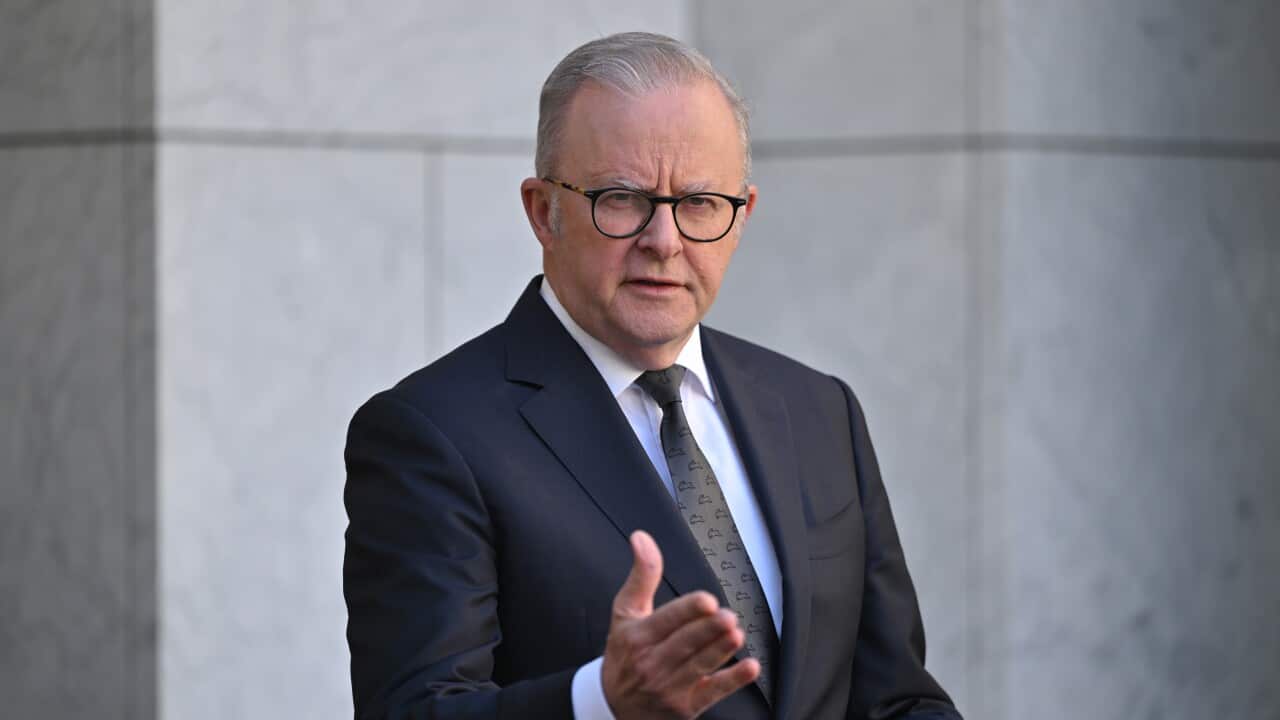 ANTHONY ALBANESE PRESSER