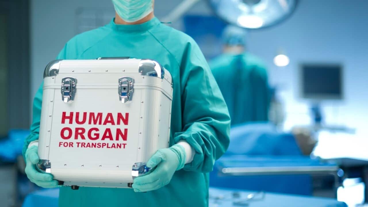 organ donation