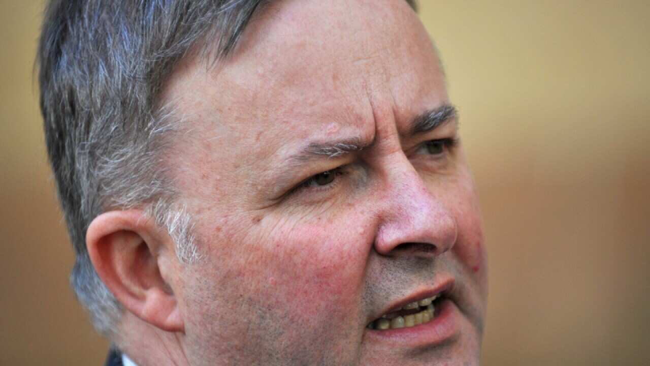 Albo calls for patience on poll date