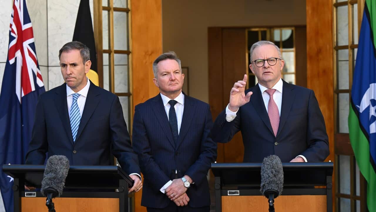 ANTHONY ALBANESE NATIONAL CABINET PRESSER