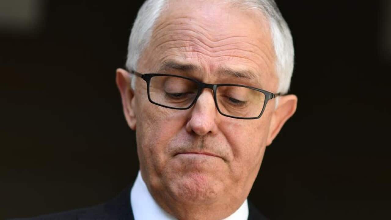Prime Minister Malcolm Turnbull is dismissing calls for a citizenship audit