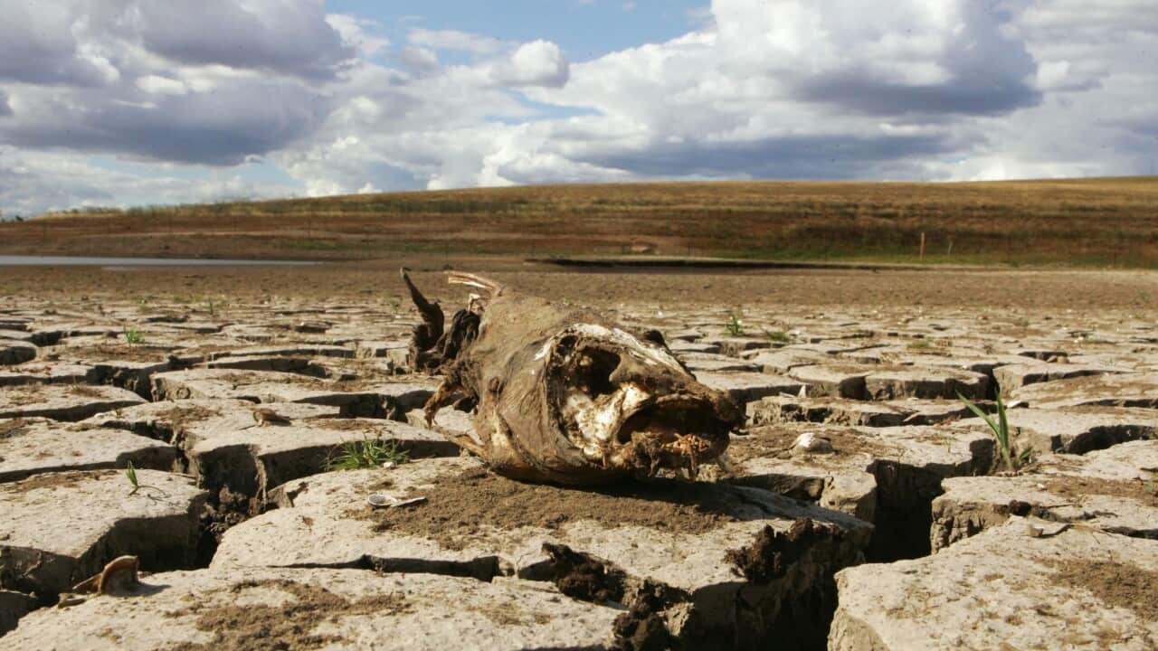 Image for read more article 'READ MORE'