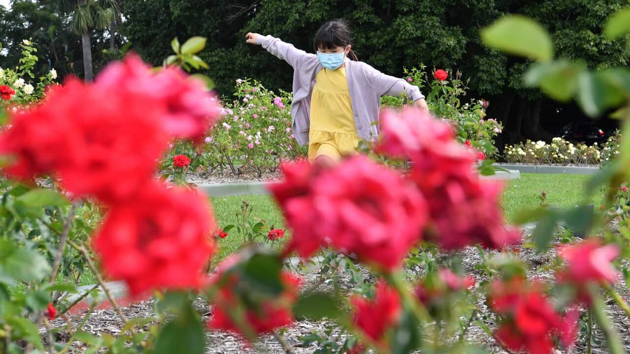 Image for read more article 'READ MORE'