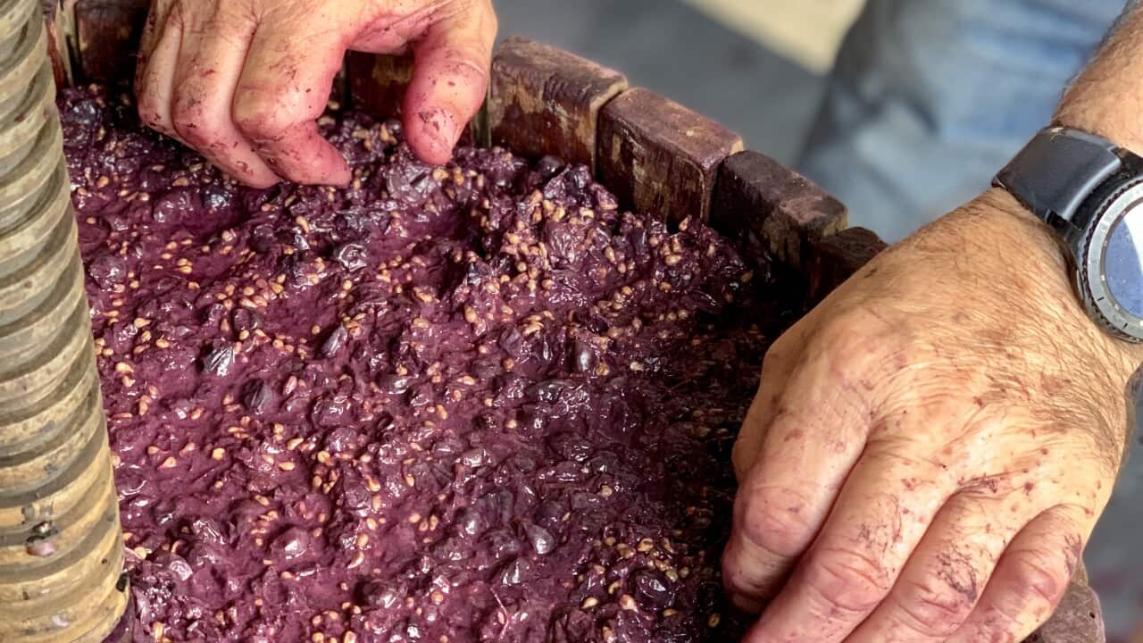 Homemade wine making