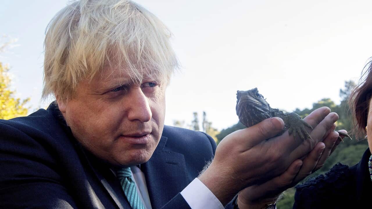 Boris Johnson holds a lizard during his visit to Wellington, New Zealand.